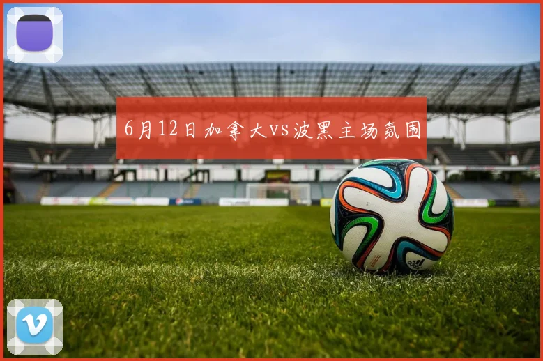 6月12日加拿大vs波黑主场氛围