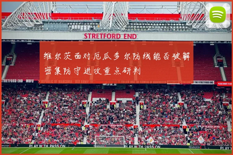 维尔茨面对厄瓜多尔防线能否破解密集防守进攻重点研判